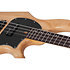 CV-4 Gloss Natural Schecter