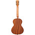 Maori Guidance Mahogany Tenor + housse Kala