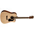 AD5CE Apprentice D5CE Natural Washburn