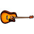 Apprentice Pack D5CE Tobacco Sunburst Washburn