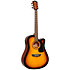 Apprentice Pack D5CE Tobacco Sunburst Washburn