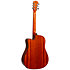 Apprentice Pack D5CE Tobacco Sunburst Washburn