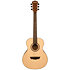 AGM5K Apprentice G-Mini 5 Natural Washburn