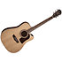 HD10SCE Heritage D10SCE Natural Washburn