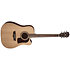 HD10SCE Heritage D10SCE Natural Washburn