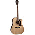 HD10SCE Heritage D10SCE Natural Washburn