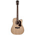 HD10SCE Heritage D10SCE Natural Washburn