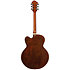 Pat Metheny PM3C NAL Natural Amber Low Gloss + Etui Ibanez