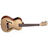 Archtop Kalamazoo Gold Tenor Kala