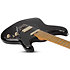 MV-6 Gloss Black Schecter