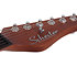 Nick Johnston Signature PT Atomic Frost Schecter