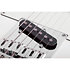 Nick Johnston Signature PT Atomic Snow Schecter