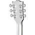 SG Standard Custom Color Silver Mist + Housse Gibson