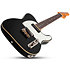 PT Special chevalet fixe Black Pearl Schecter