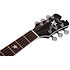 RS-1000 Robert Smith Acoustique Black Star Schecter