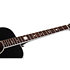 RS-1000 Robert Smith Acoustique Black Star Schecter