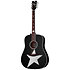 RS-1000 Robert Smith Stage Acoustique White Star Schecter