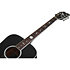 RS-1000 Robert Smith Stage Acoustique White Star Schecter