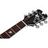 RS-1000 Robert Smith Stage Acoustique White Star Schecter