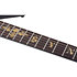 Synyster Gates Custom Relic FR Sustainiac Distressed Satin Black Schecter