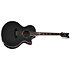 Synyster Gates Acoustique GA SC Trans Black Burst Satin Schecter