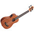Wanderer Mahogany U-Bass + housse Kala