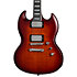 SG Modern Prophecy Aged Bengal Tiger Burst + Housse Epiphone