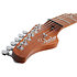 Trad Van Nuys Gloss Natural Ash LH Schecter