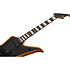 Wylde Audio Blood Eagle Mahogany Blackout Schecter