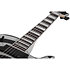 Zakk Wylde Odin Black Silver Schecter