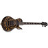 Wylde Audio Odin Rawtop Psychic Bullseye Schecter