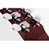 Zacky Vengeance Custom Reissue See Thru Cherry Schecter