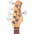 StingRay RAY5 Walnut Satin Sterling by Music Man