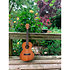 Makala Classic Tenor Kala