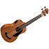 Bakithi Kumalo Signature U-Bass cordes filées + housse Kala