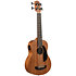 Bakithi Kumalo Signature U-Bass cordes filées + housse Kala