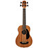 Bakithi Kumalo Signature U-Bass cordes filées + housse Kala