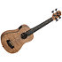 Quilted Ash U-Bass + housse Kala