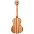Pacific Walnut Tenor Kala