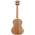 Pacific Walnut Tenor gaucher Kala
