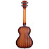 Resonator Brass Tenor Kala
