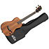 Solid body Acacia Tenor + housse Kala