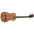 Solid body Acacia Tenor + housse Kala