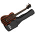 Solid body Striped Ebony Tenor + housse Kala