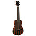 Solid body Striped Ebony Tenor + housse Kala