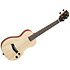 Solid body Flame Maple Tenor + housse Kala