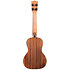 Solid Cedar Top Acacia Concert Kala
