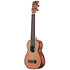 Solid Cedar Top Acacia Soprano Long Neck Kala