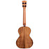 Solid Cedar Top Acacia Tenor Kala