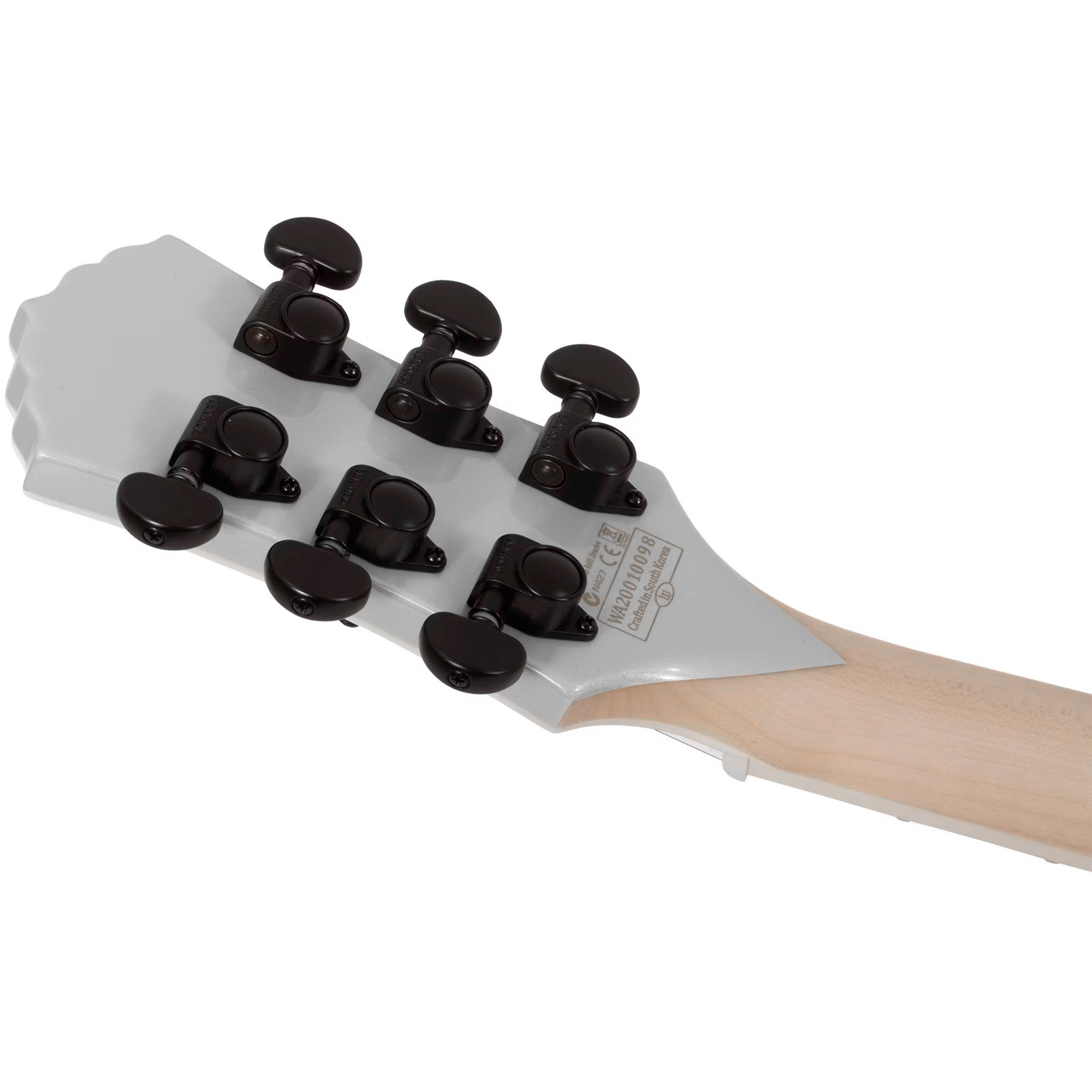Schecter 10 String Schecter Zakk Wylde Odin Black Silver - Signature Guitar SonoVente.com - en